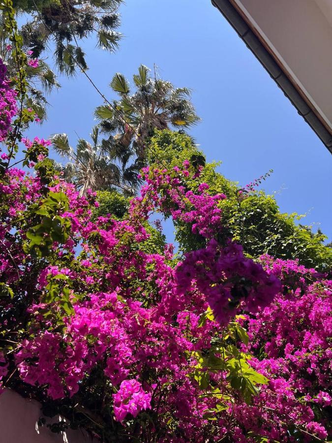Palma Rosa Hotel Çamyuva 外观 照片